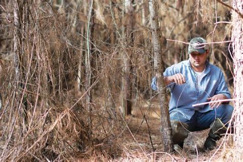 Trapping 101 How To Catch Animals With A T Snare Trap Off The Grid News