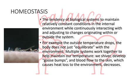 SOLUTION Homeostasis And Feedback Mechanism Studypool