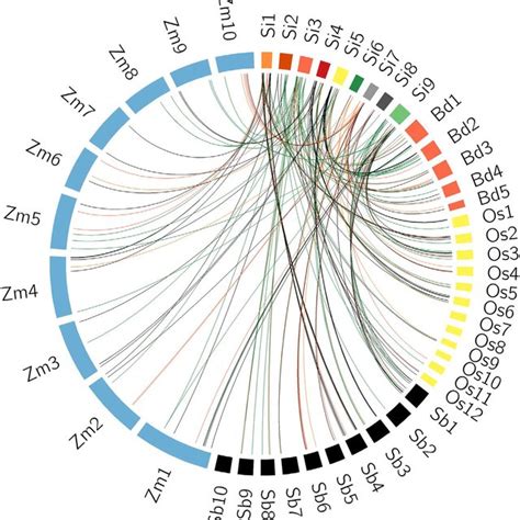 Spot Assay Of Yeast W303 Cells On Sd Ura Basal Medium Growth Of Download Scientific Diagram