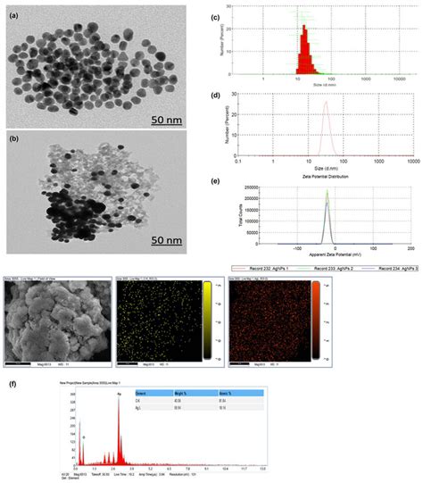 Tem A And B Panel C And D Illustrates The Particle Size