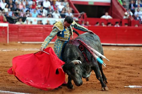 En QR entró en vigor ley que prohíbe corridas de toros y peleas de