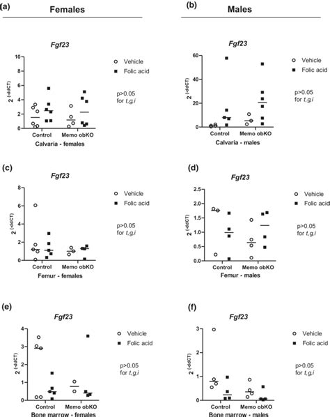 Fgf Gene Expression Increased In Calvaria After Folic Acid Treatment