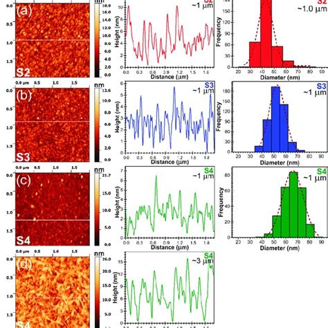 Characteristic Atomic Force Microscopy AFM Images Height Profiles