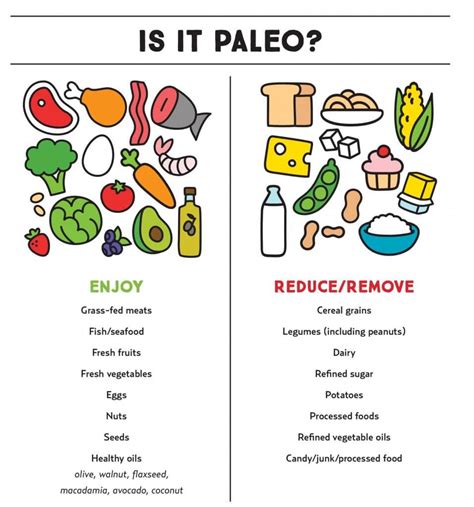 The Paleo Diet Natures Fare