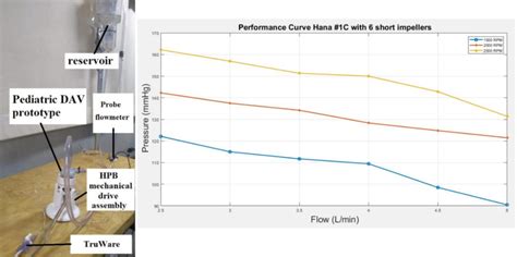 Hydrodynamic Performance Test On The Hpb Of A Pediatric Vad Prototype