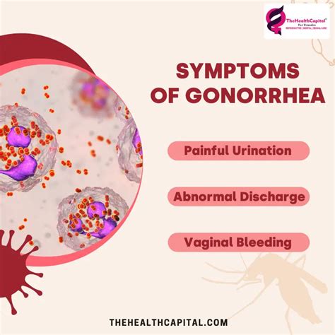 Gonorrhea: Symptoms, Treatment, Causes and More | 2023 Blog