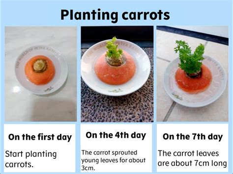 application  science loilonote  school support page