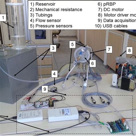 Photograph Of The In Vitro Experimental Test Setup The Parts