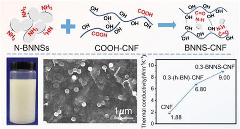 Highly Exfoliated Boron Nitride Nanosheets Via Carboxyl Nanocellulose