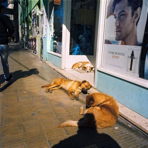 Notre Bvc Raymond Depardon Un Moment Si Doux Janvier