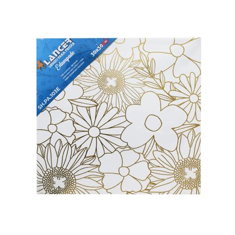 Lienzo Estampado Para Pintar 30x30cm Lancer Comsucre Online