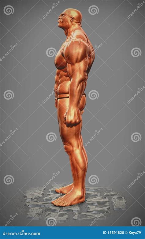 Muscle Man Figure Side View Stock Photo | CartoonDealer.com #15591828