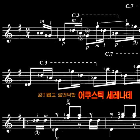 인생의 회전목마 하울의 움직이는성 Ost 바이올린 솔로 Youtube Music