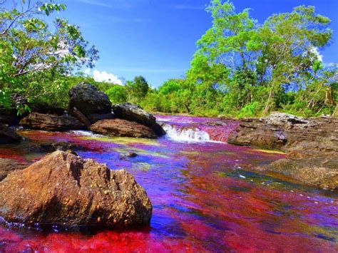 Liquid Rainbow River Of Columbia HD Wallpapers - Wallpaper Cave