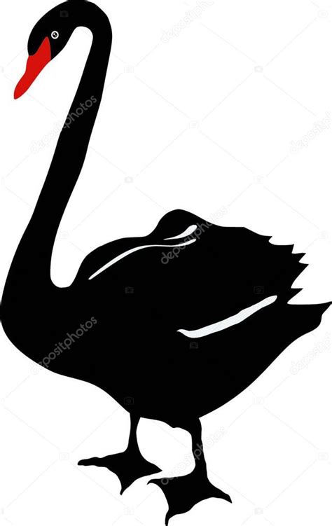 Silueta Cisne Negro Vector De Stock Por Yay Images