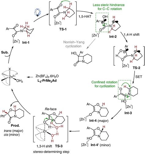 Chiral Lewis Acid Catalyzed Norrish Type Ii Cyclization To Synthesize