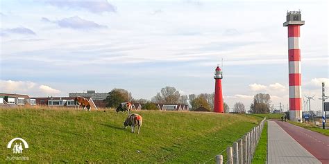 Vacature Verpleegkundige Of Verzorgende IG Zorg Thuis Hoek Van Holland