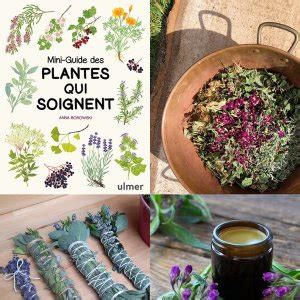 Tickets Atelier Causerie Autour Des Plantes Qui Soignent Billetweb