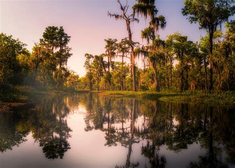 Louisiana Landscape Zones