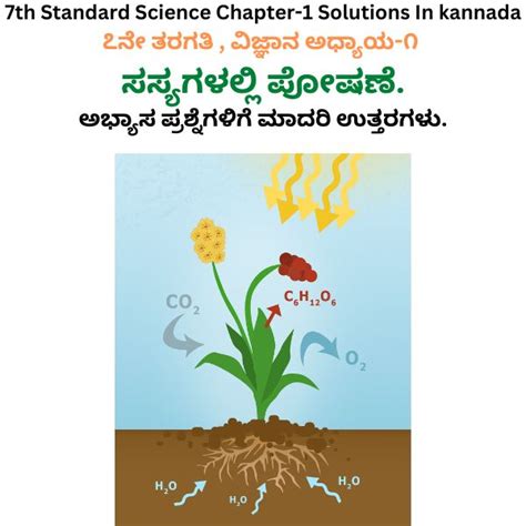 Nutrition In Plants Class Best Solutions In Kannada Medium