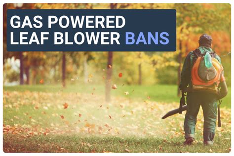 Gas Powered Leaf Blower Bans Momentum Iot