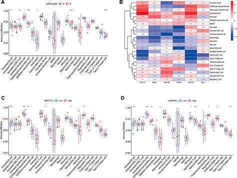 Frontiers Diagnostic Signature Subtype Classification And Immune