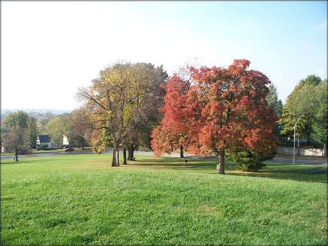 Kansas City Parks and Physical Activity Project – Built Environment and ...