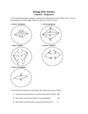 Tutorial Assignment Ta Biology C Genetics Tutorial Assignment