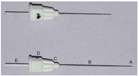 Parts of a needle Diagram | Quizlet
