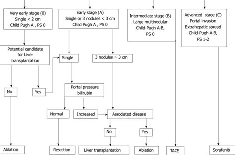 Barcelona Clinic Liver Cancer Staging And Treatment Strategy 9 Bclc Download Scientific