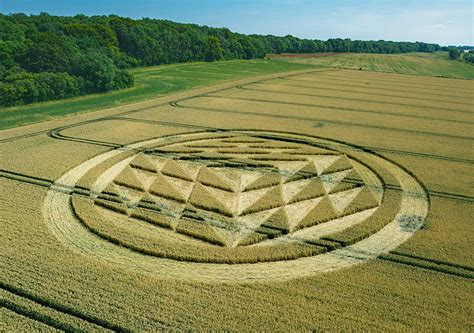 Updated Mysterious Green Crop Formation Emerges In U K Brown