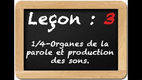 Le On Organes De La Parole Et Production Des Sons Youtube