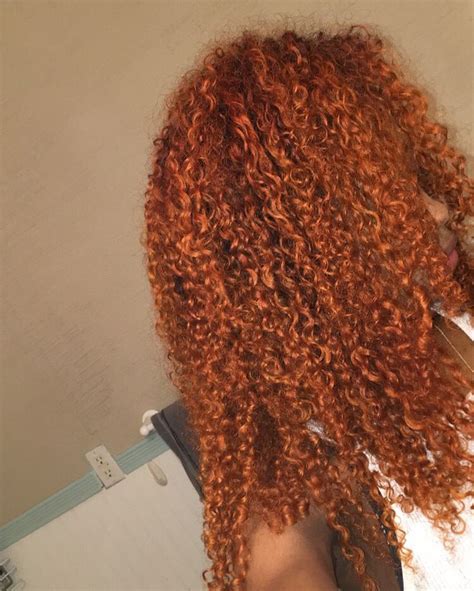 Pin By Leronnaye Robinson On Hair In 2024 Dyed Curly Hair Colored