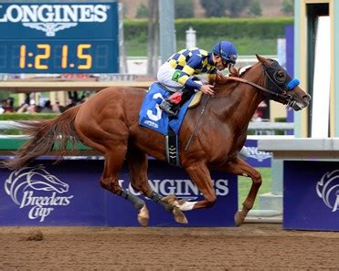 Chitu - Horse Profile - BloodHorse