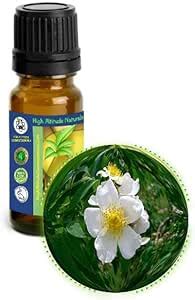 Amazon Ml Oz Wild Musk Rose Essential Oil Rosa Moschata