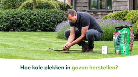 Gazon Hoe Kale Plekken In Gazon Herstellen Youtube