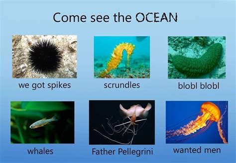 Come See The Ecosystem Meme Tumblr Gallery