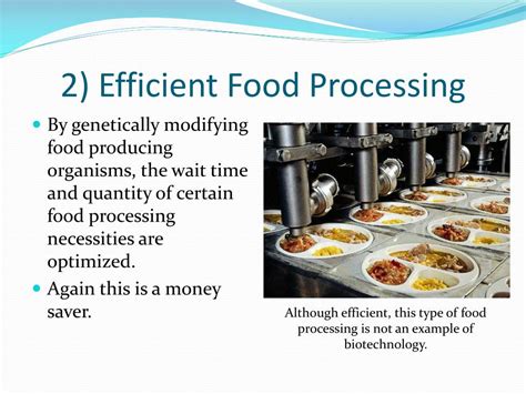 Applications Of Biotechnology In Food Processing