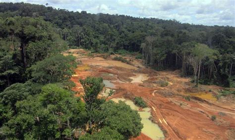 Impactos da contaminação por mercúrio dos garimpos