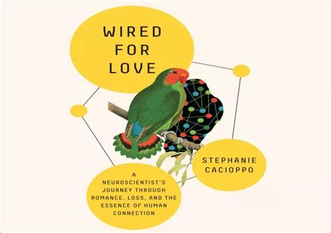 Ppt Download Wired For Love A Neuroscientists Journey Through