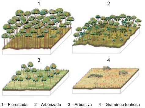 Questão UNESP 2021 Geografia Biogeografia Respondida e comentada