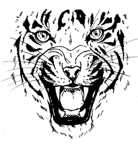 Tiger Face Stencil - Cliparts.co