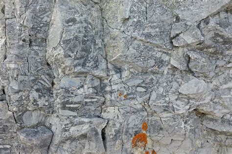 Dolomite Rock - Sedimentary Rocks