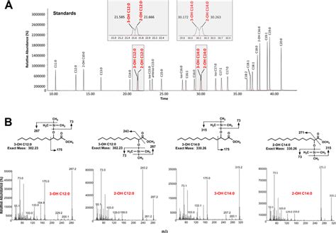 Figure S Gc Ms Analysis Of Fatty Acid Standards As Tms Derivatives Of