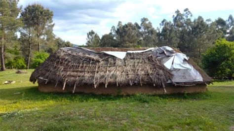 Denuncian el estado de abandono del parque arqueológico de arte