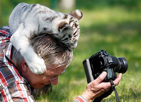 20 Pictures Showing That Nature Photographers Have The Best Jobs Ever