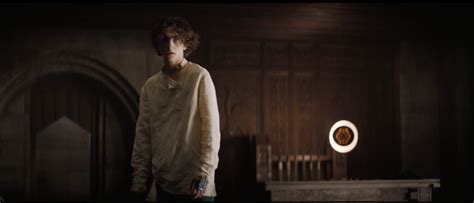 Timothée Chalamet In Dune Is Hot