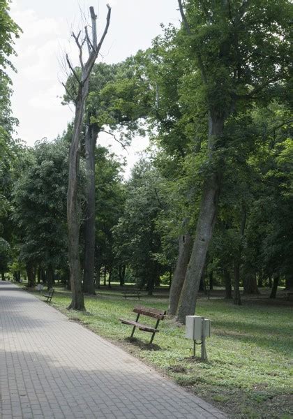 Parcul Dendrologic Din Ineu Cnipt Arad