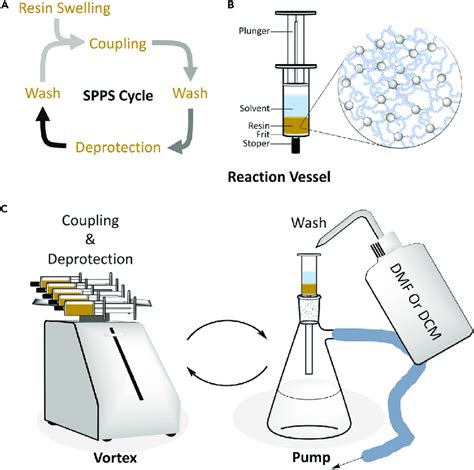 The Overview Of Spps Scheme A Spps Flow Chart B The Overview Of Download Scientific