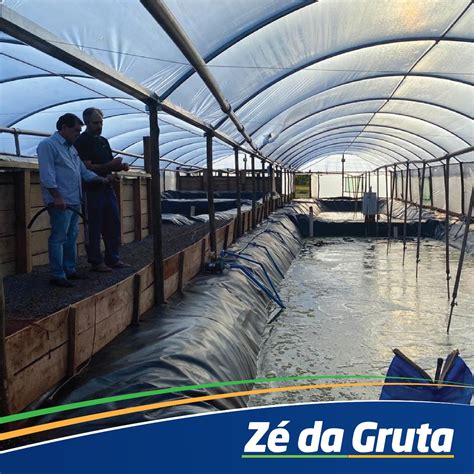 Z Da Gruta Visita Produ O De Peixe Sistema Bioflocos Jandaia Online